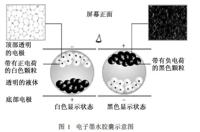 電子墨水屏技術原理 電子墨水屏技術原理