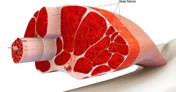 00110993072320 00110993072320