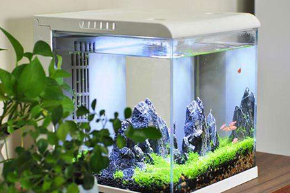 智能生態(tài)魚(yú)缸方案開(kāi)發(fā)