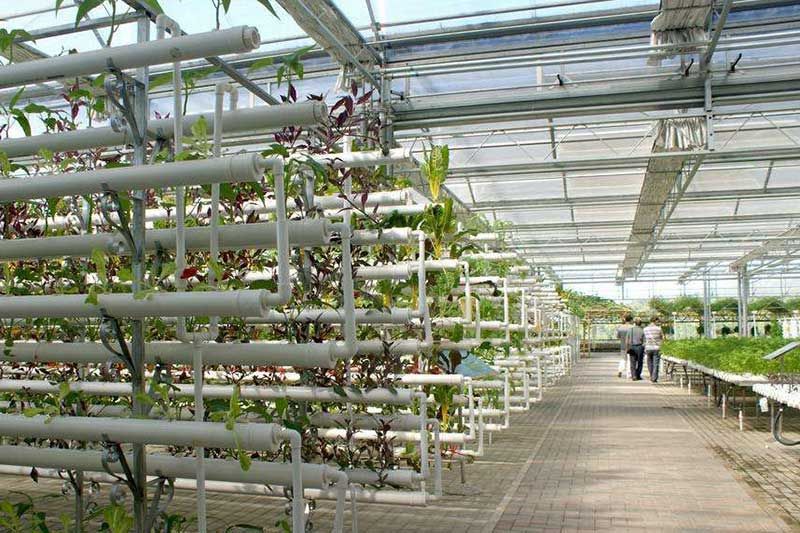 智能溫室大棚系統(tǒng)設(shè)計 智能溫室大棚系統(tǒng)設(shè)計