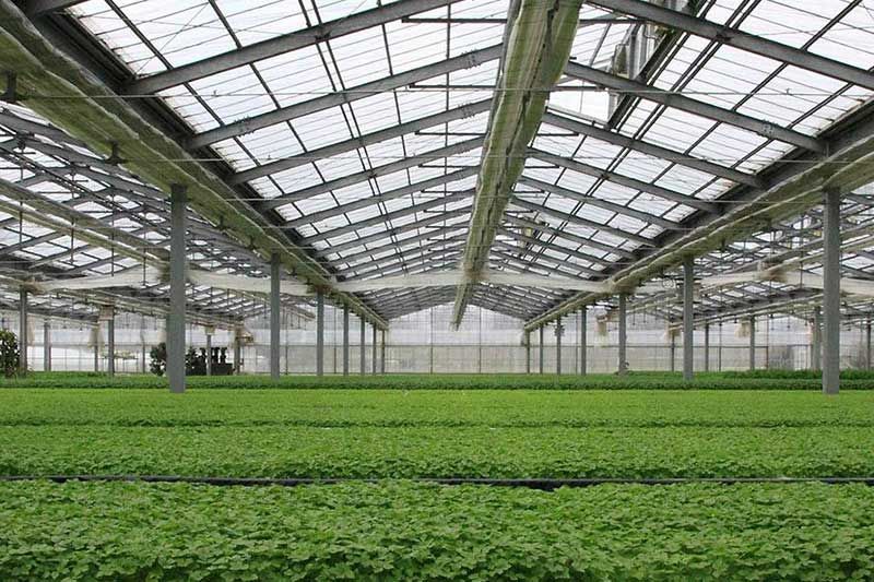 智能溫室方案公司 智能溫室方案公司