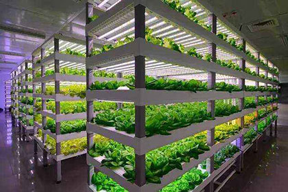 植物照明系統(tǒng)方案設計